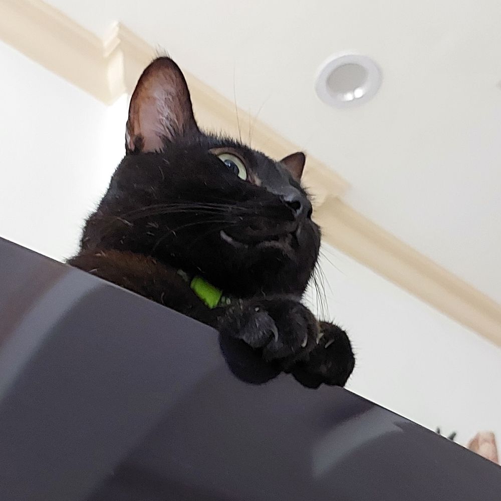 chrmprowl638.bsky.social