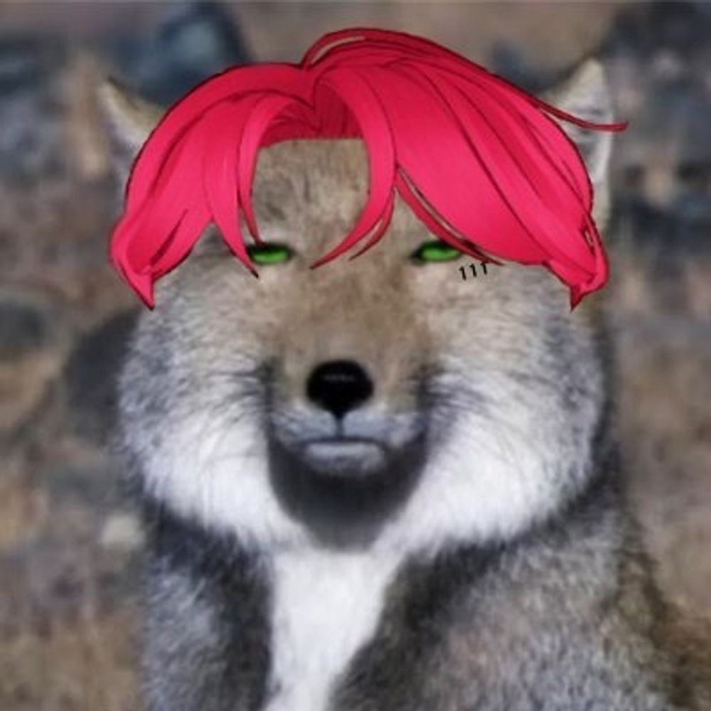 은색월