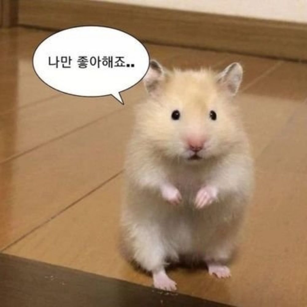 지율