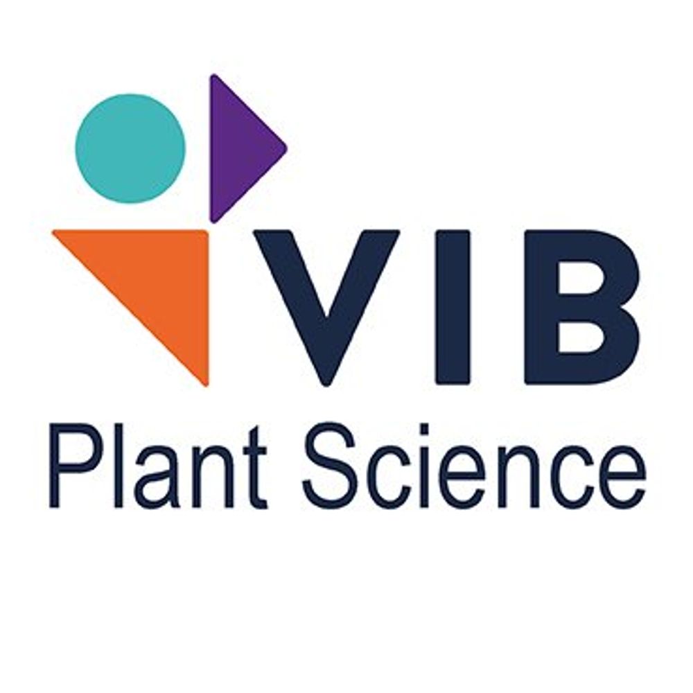 Plant Systems Biology