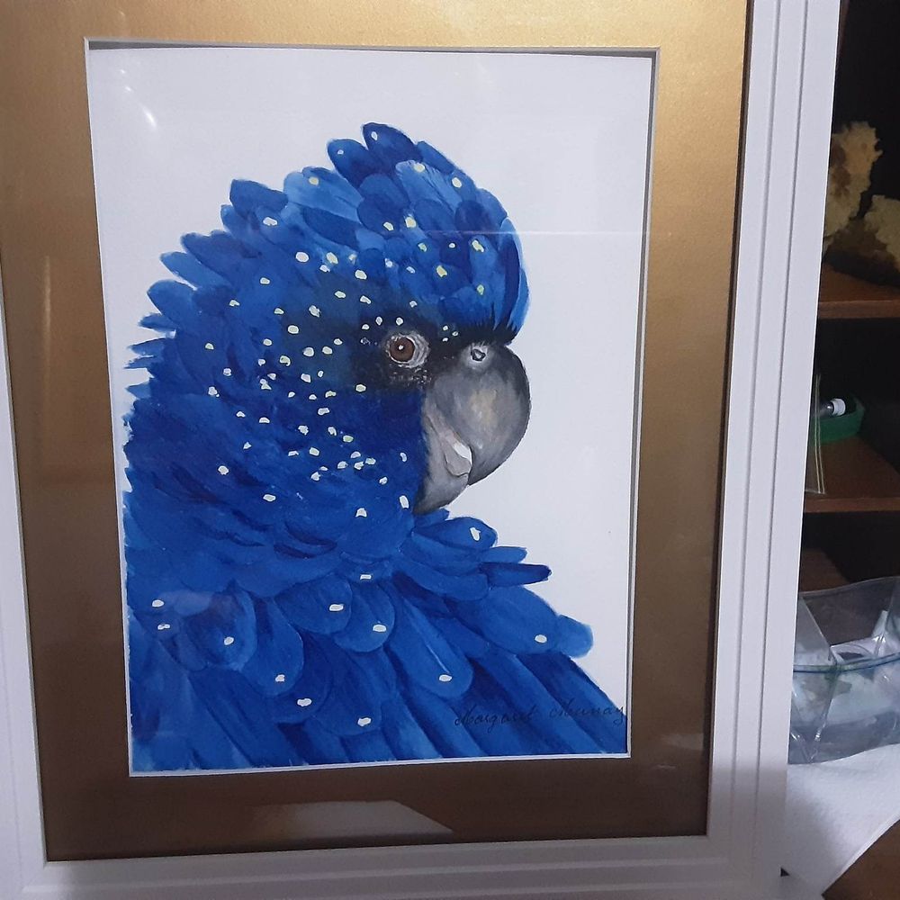 Ali