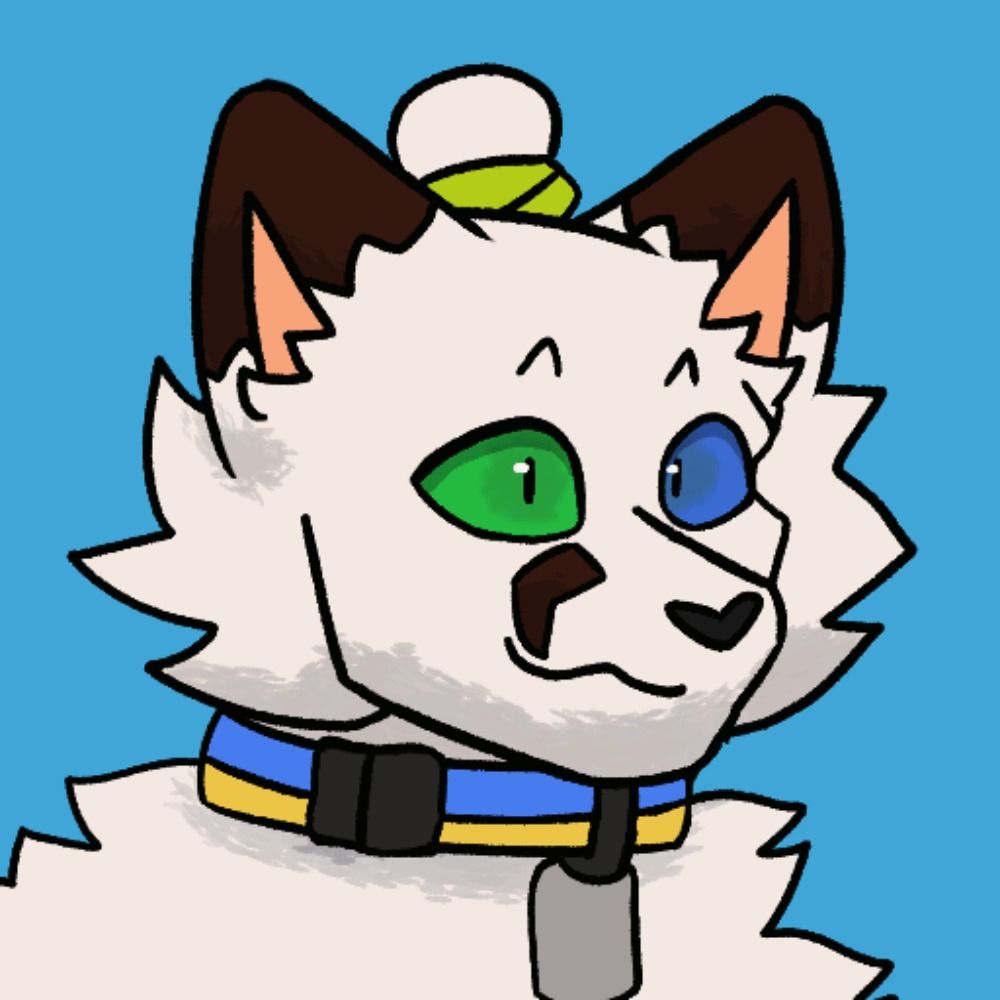 Snow the Arctic Fox