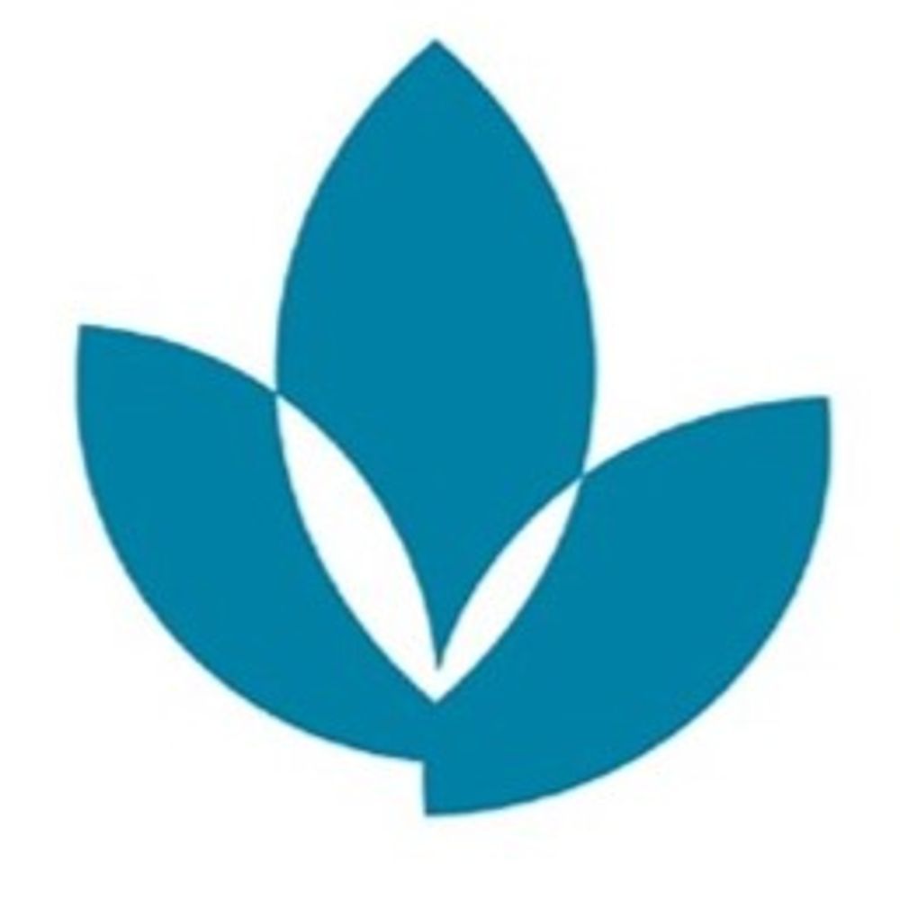 BSG Emerging Researchers in Ageing