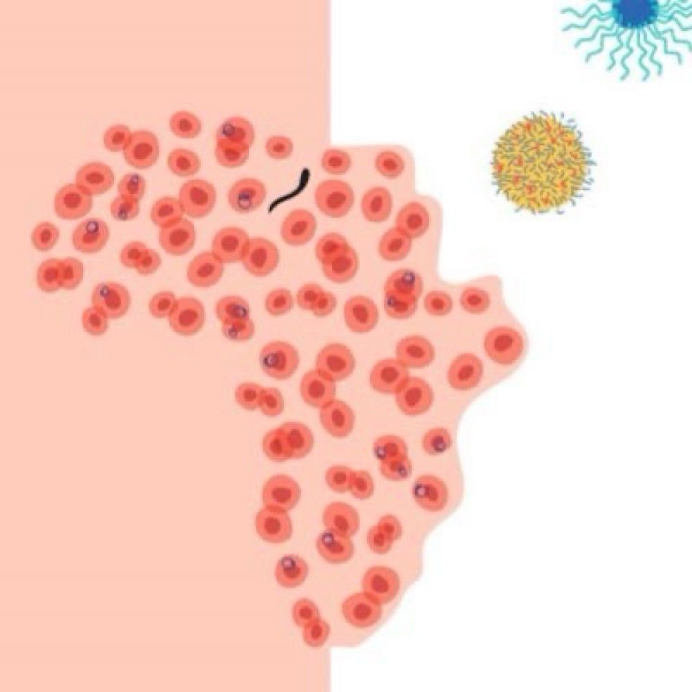 Nanomalaria