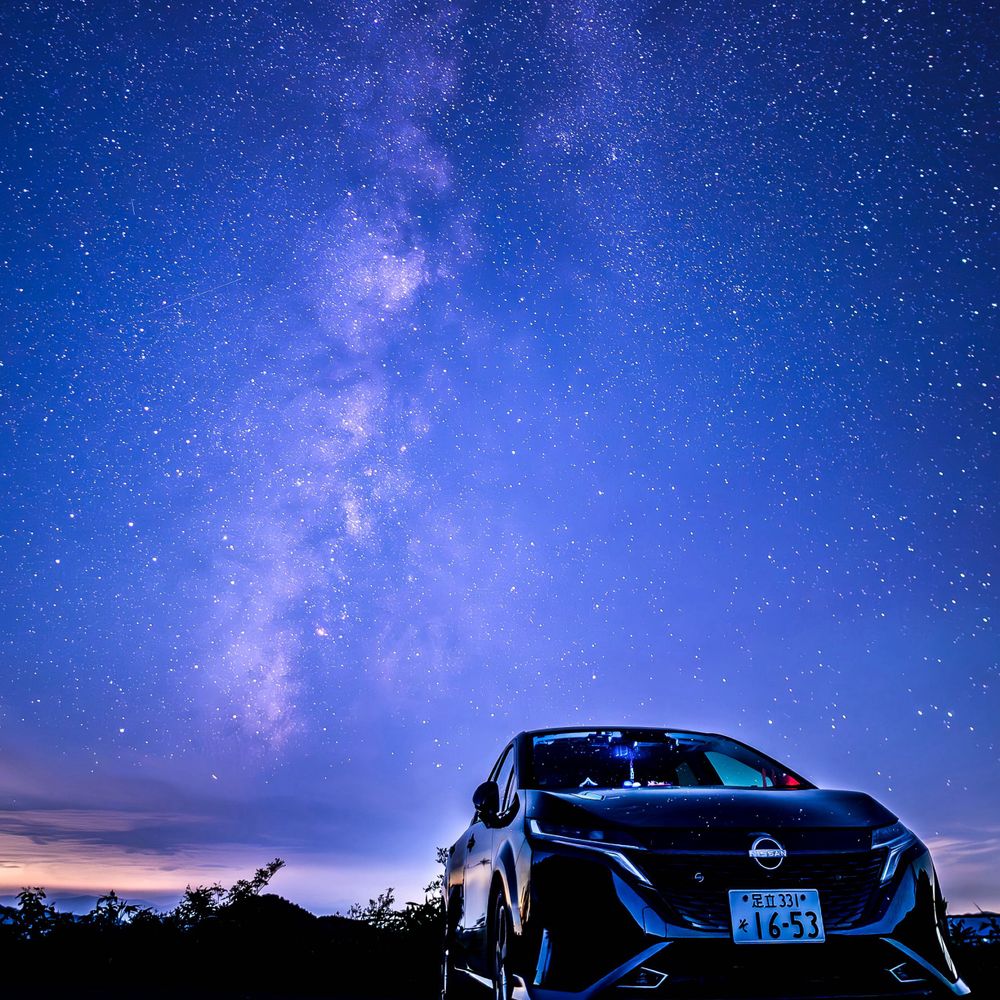トリカミ