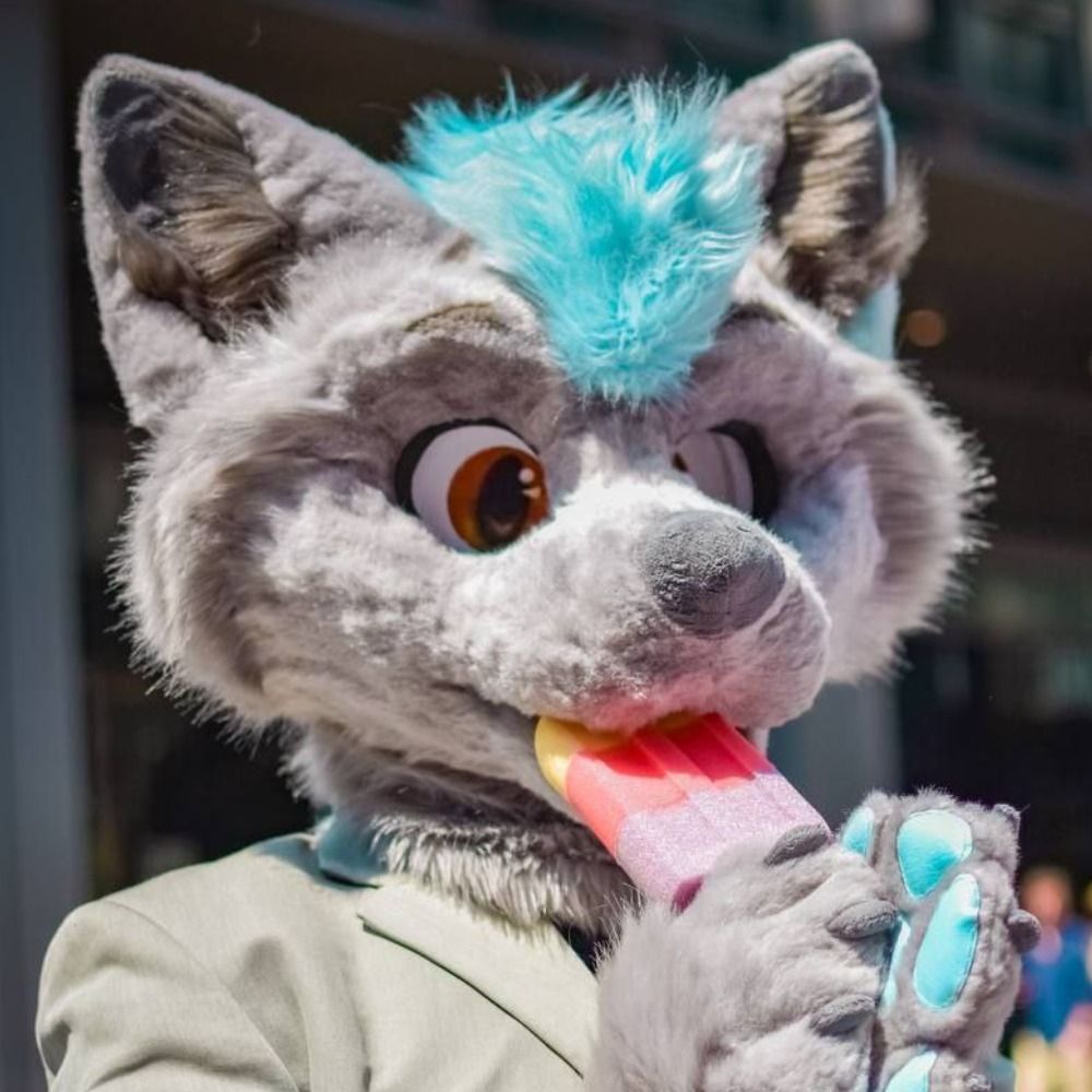 Axel fox 🇬🇧 CFz #174