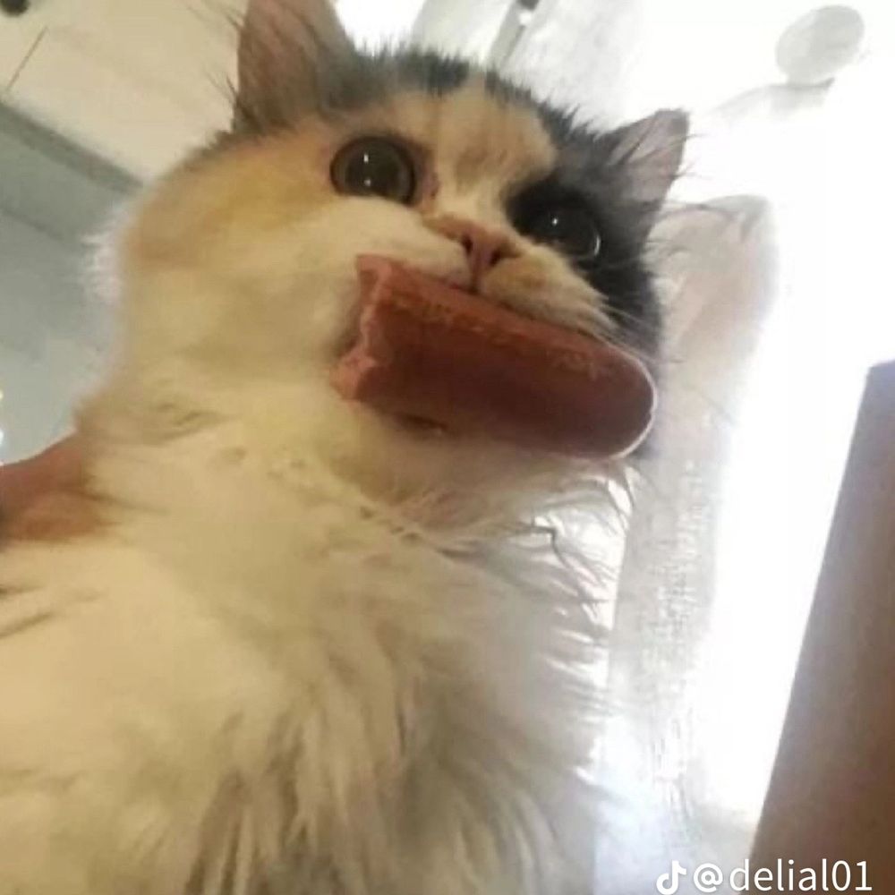 ˜”*°•.𝕋𝔸ℤ𝔸 𝔻𝔼 𝕋É ℙ𝔸ℝ𝕃𝔸ℕ𝕋𝔼.•°*”˜
