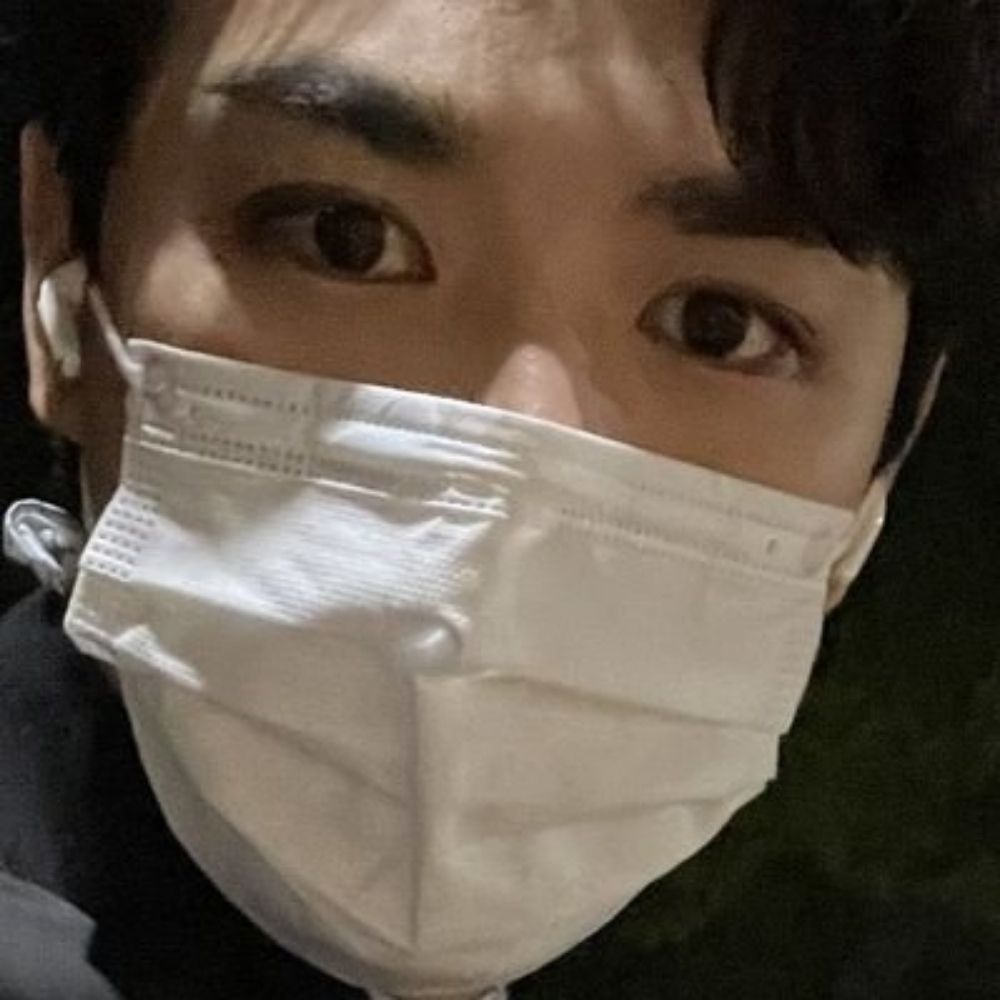 담담이