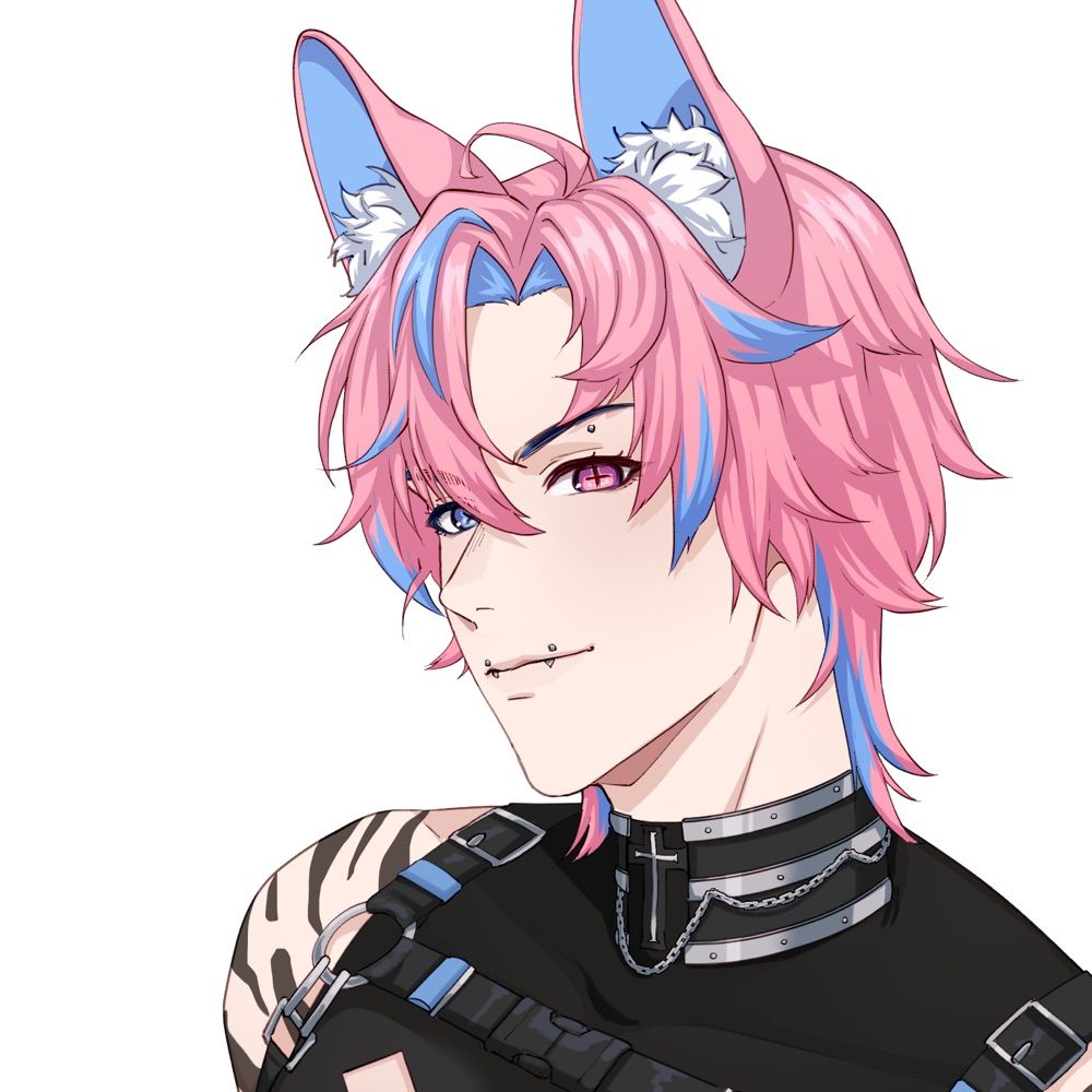 Koha 💝🐱