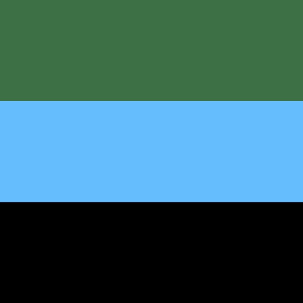 Government of the Republic of Pleiso 