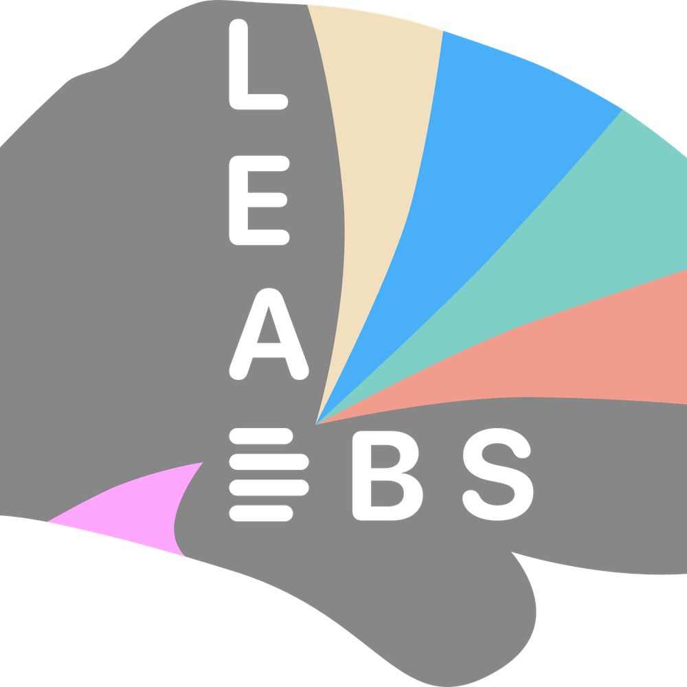 Lead-DBS