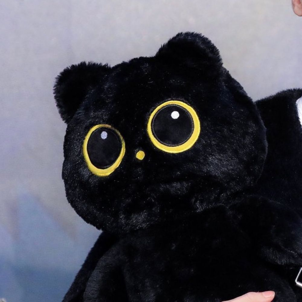 Black purr 🐈‍⬛
