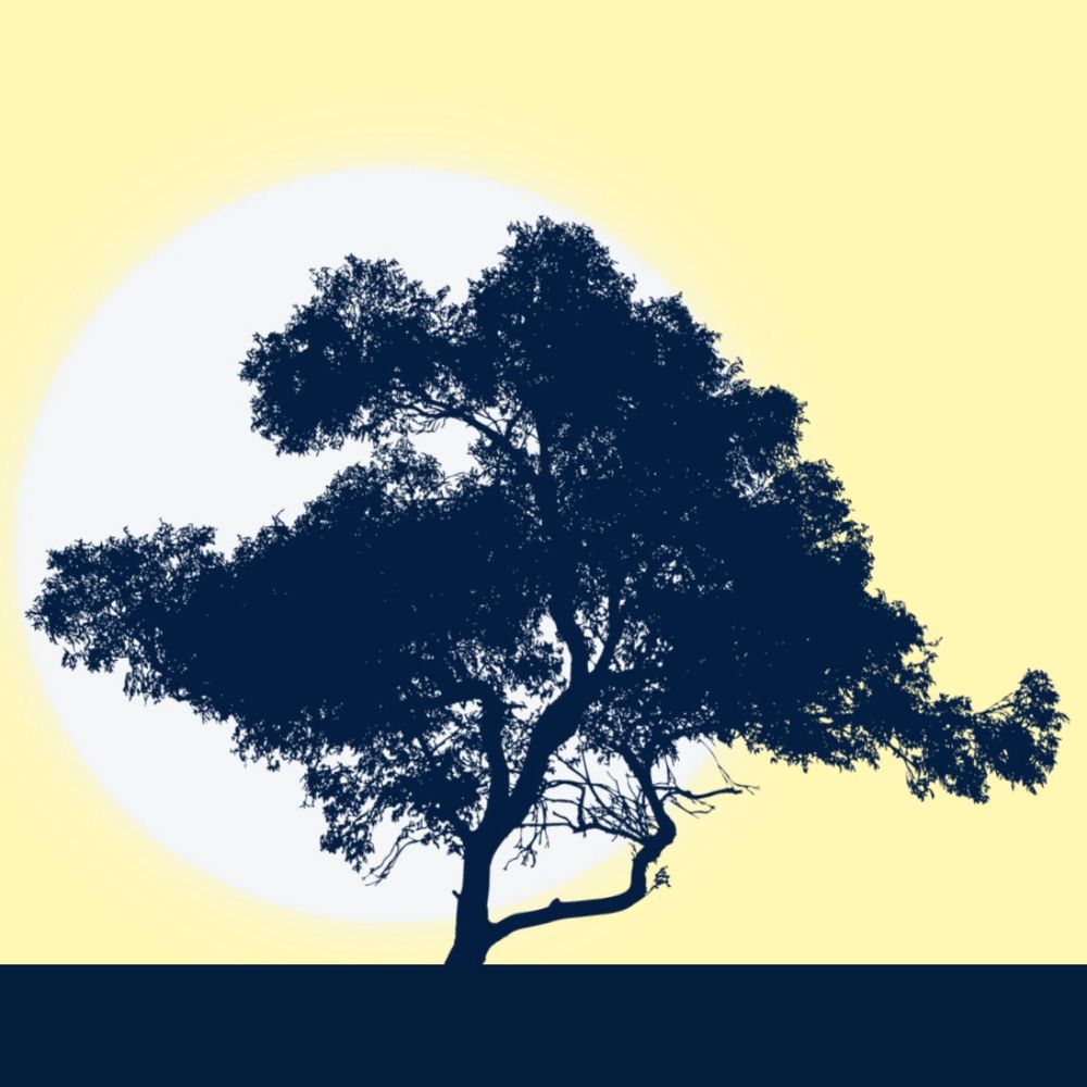 Sunny Intervals