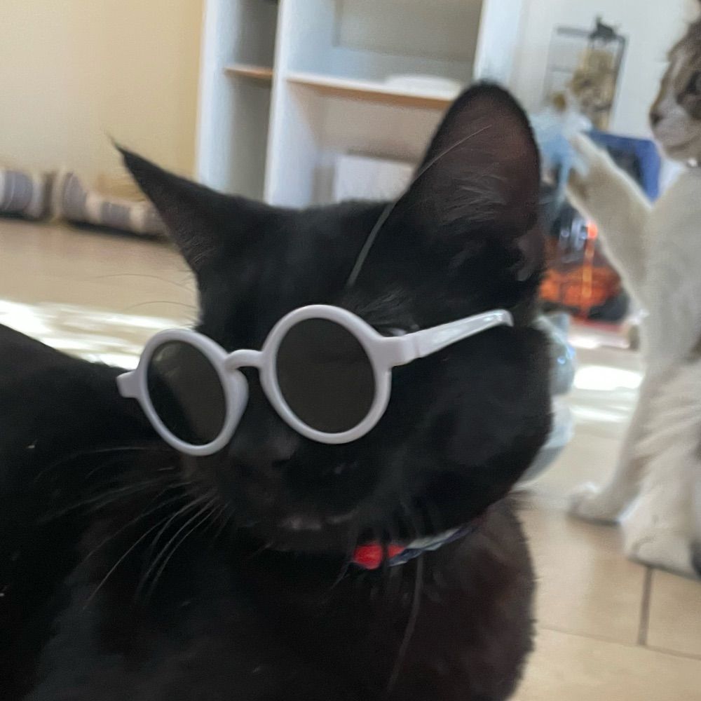 Sammysito
