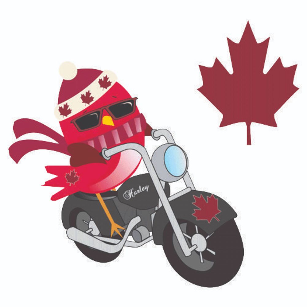 Sandy Bird -the Frozen Canuck