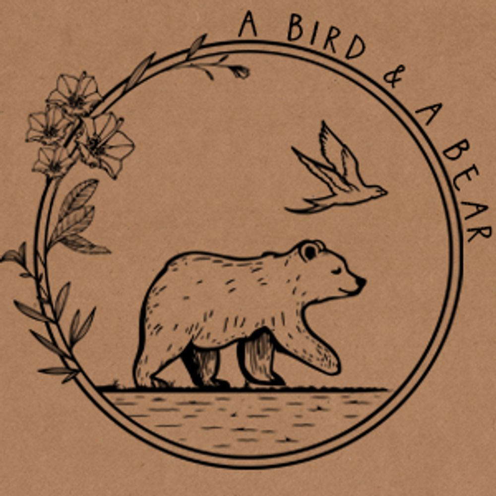 A Bird and A Bear