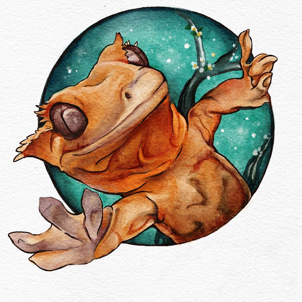 Holly Morningstar