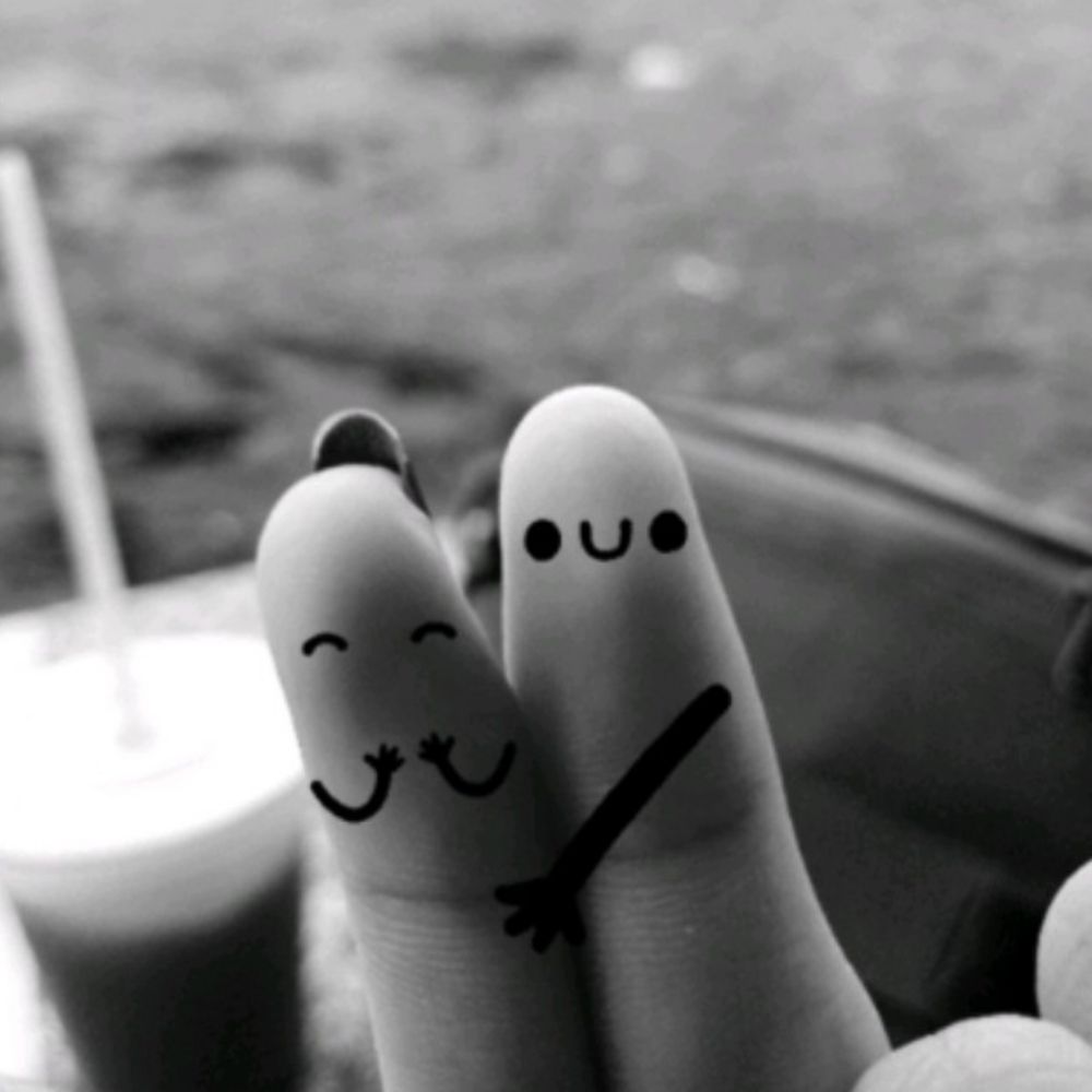 Follback plis 