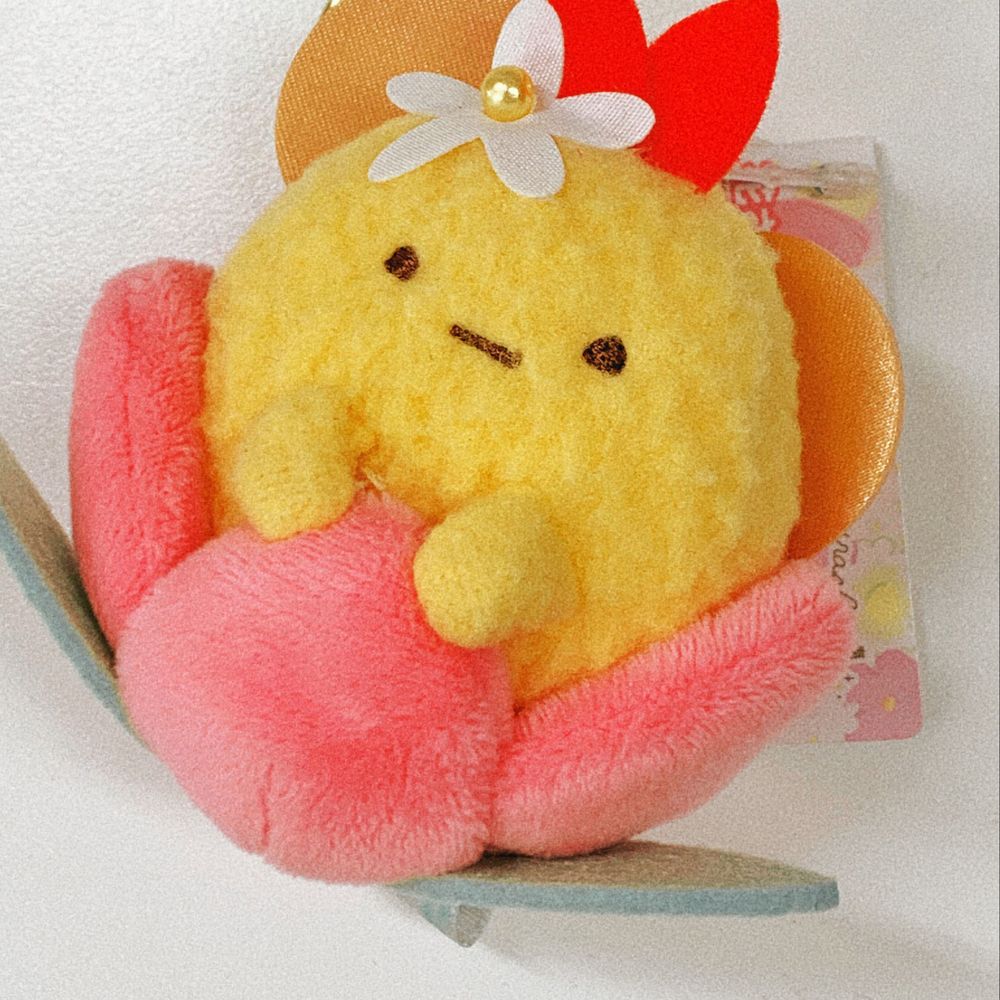 ざう