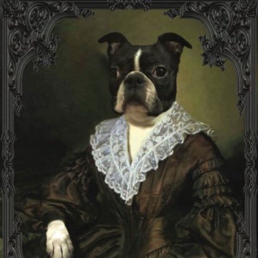 Pigwig