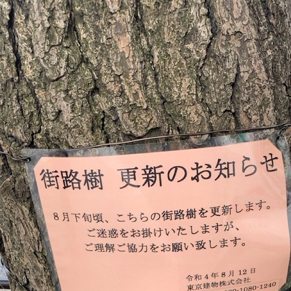 昨
