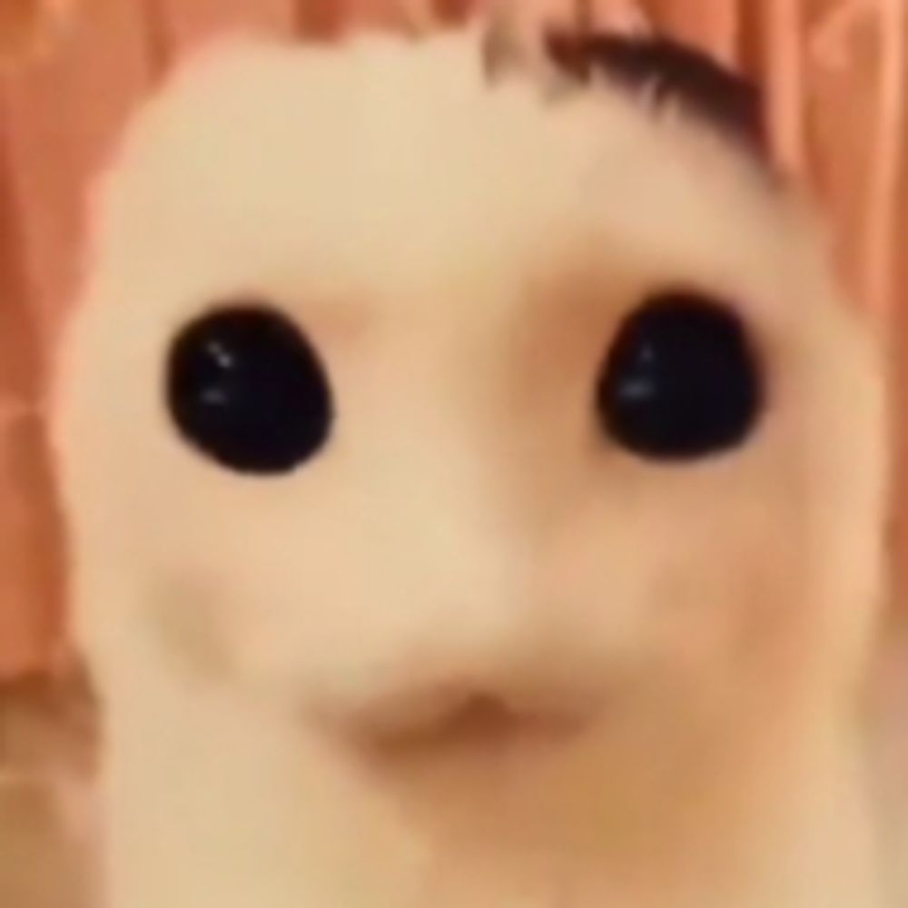 sodyp0pz