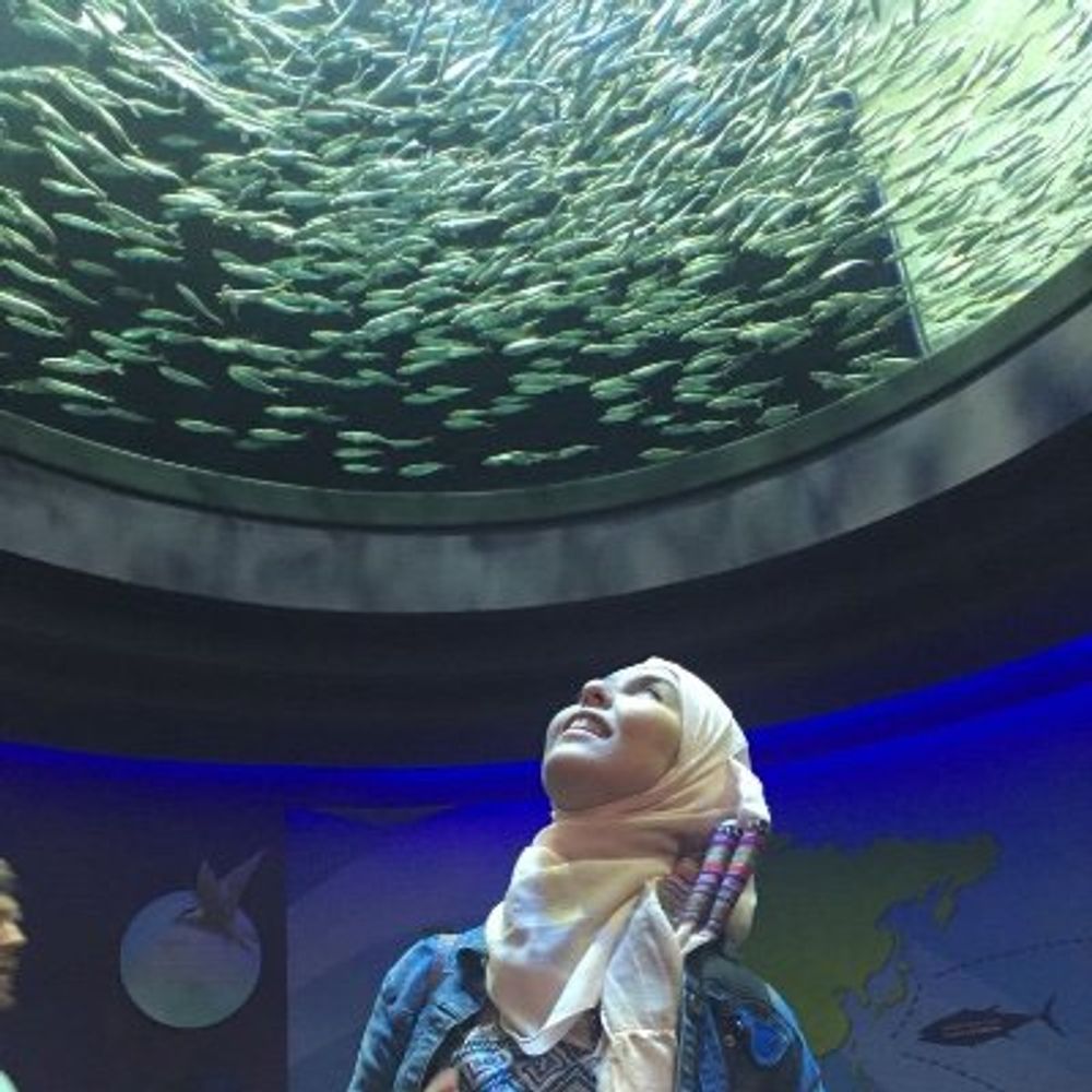 Asma Feriel Khoualdi