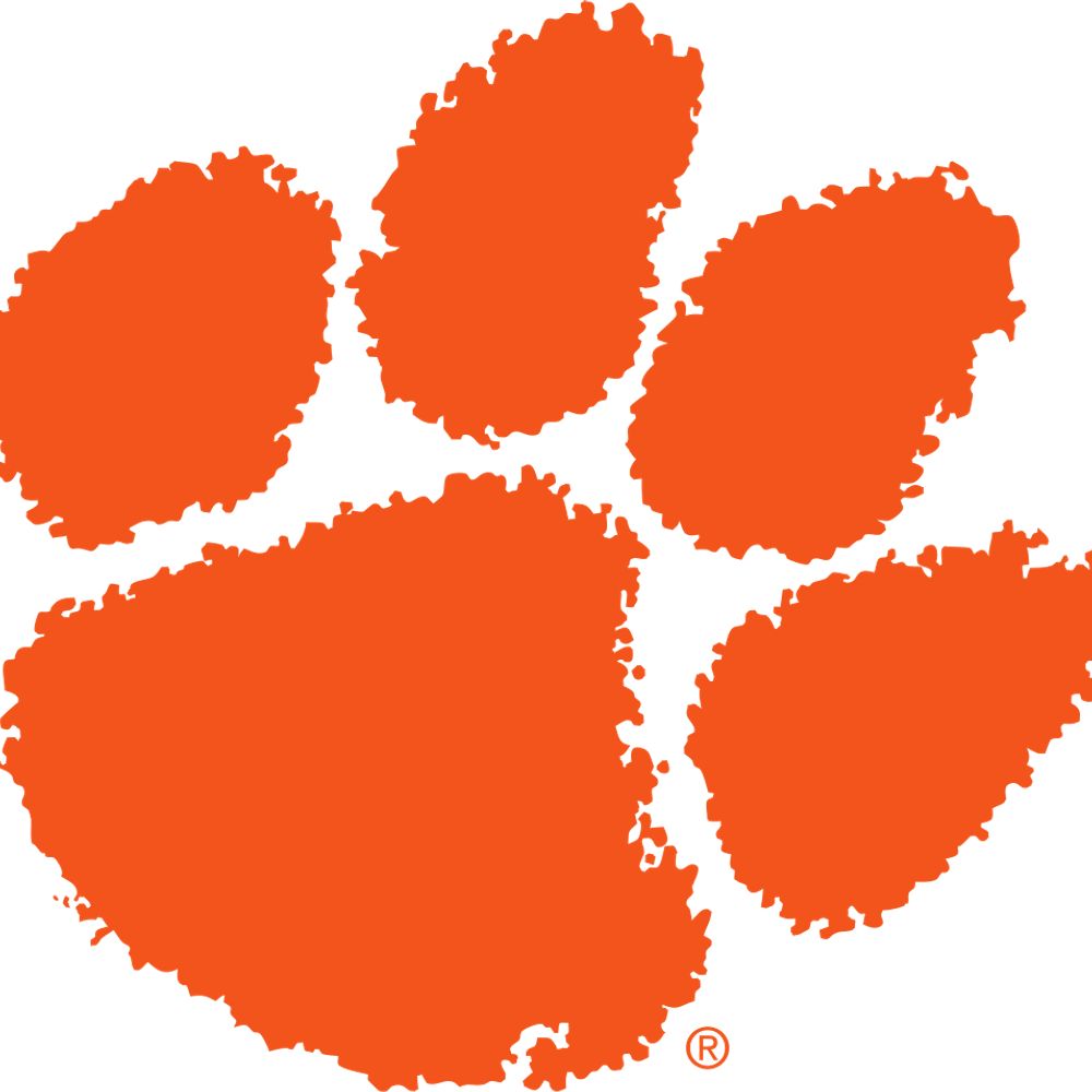 Profile picture clemsonfandom.bsky.social