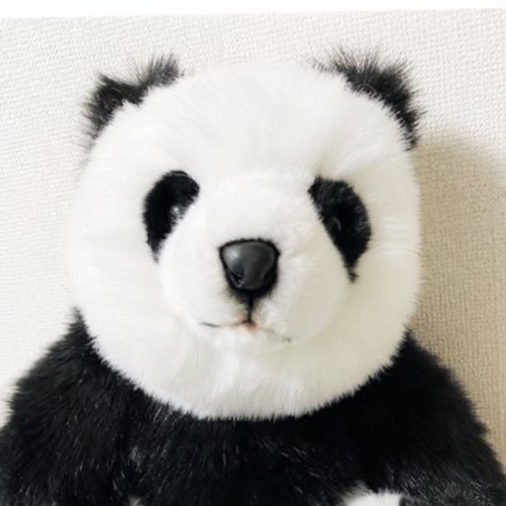 日知子