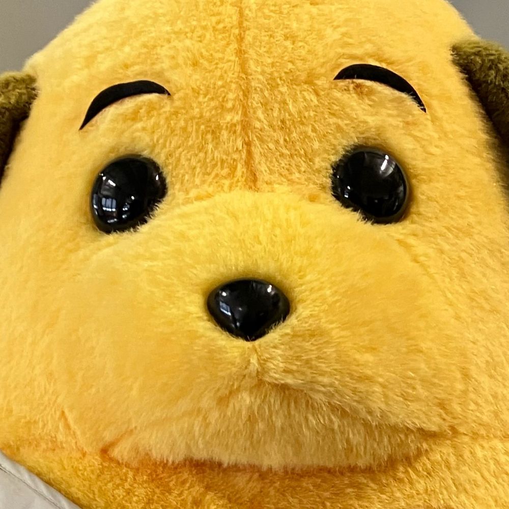 もさこ