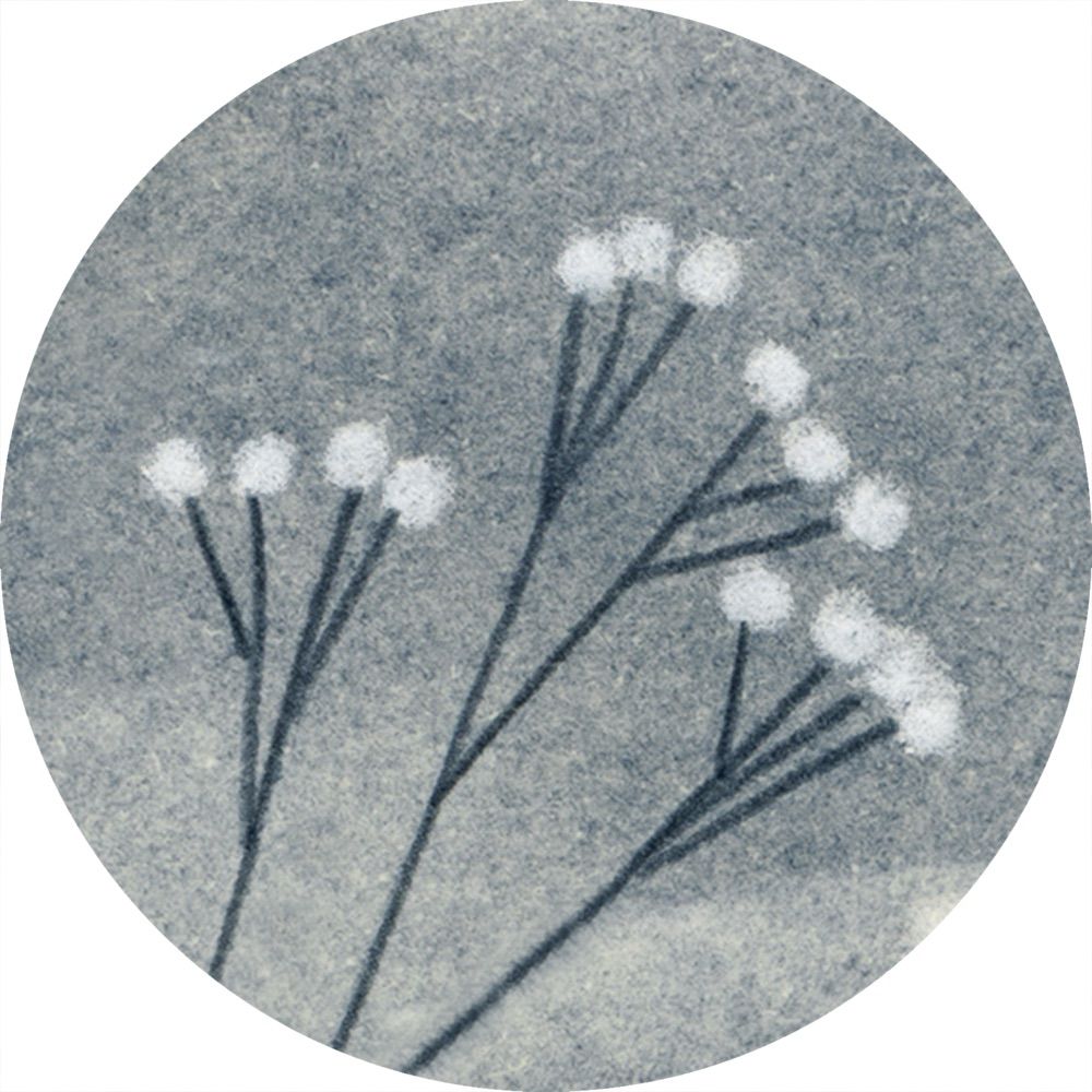 Caroline Gaedechens