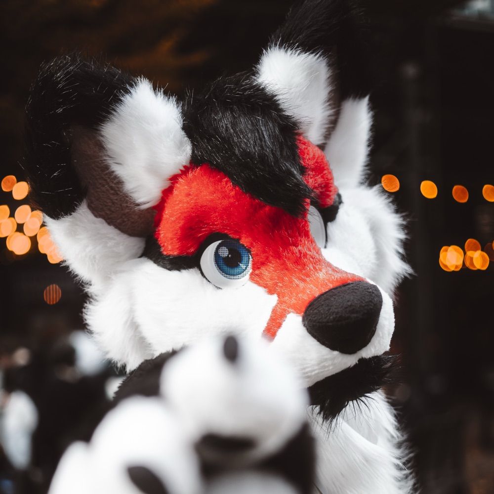 🛩 Flying G Shep 🔜 CFZ 25 🛩