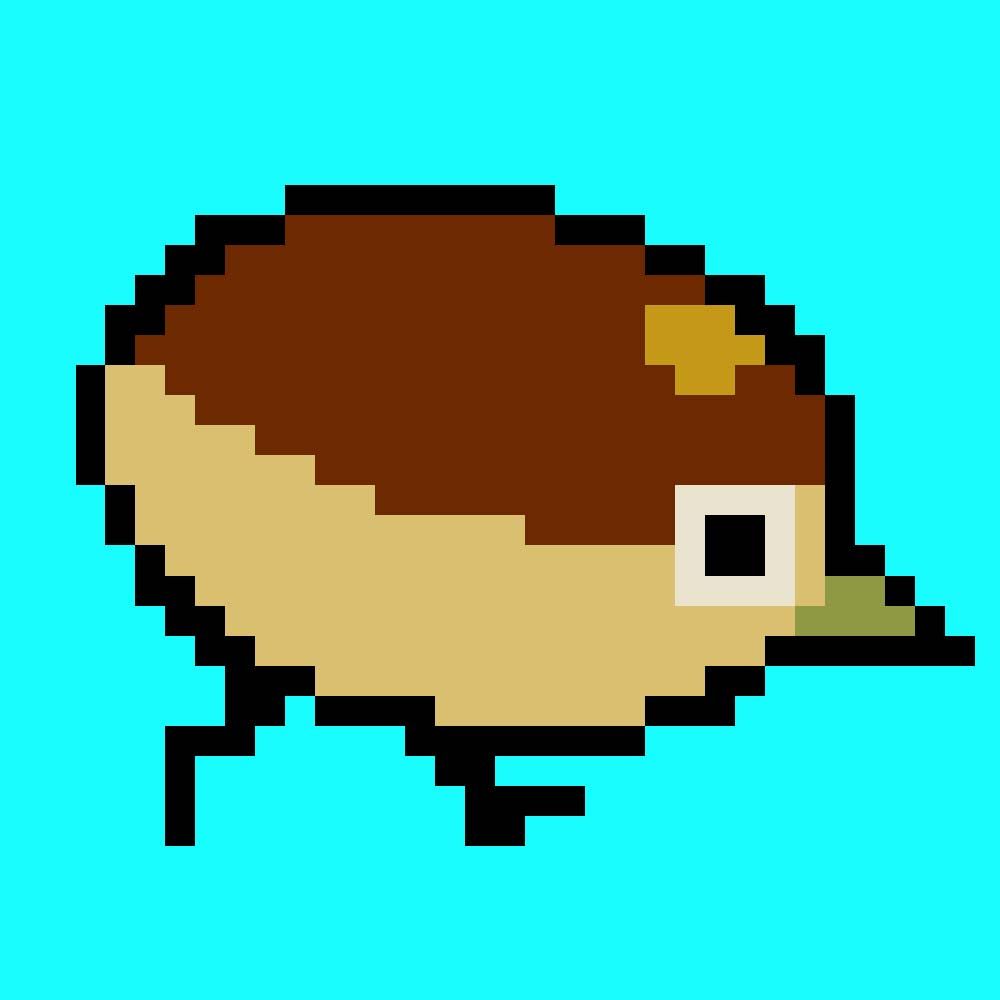 どこぞの