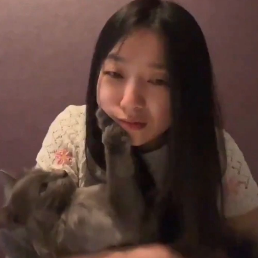 홀릭