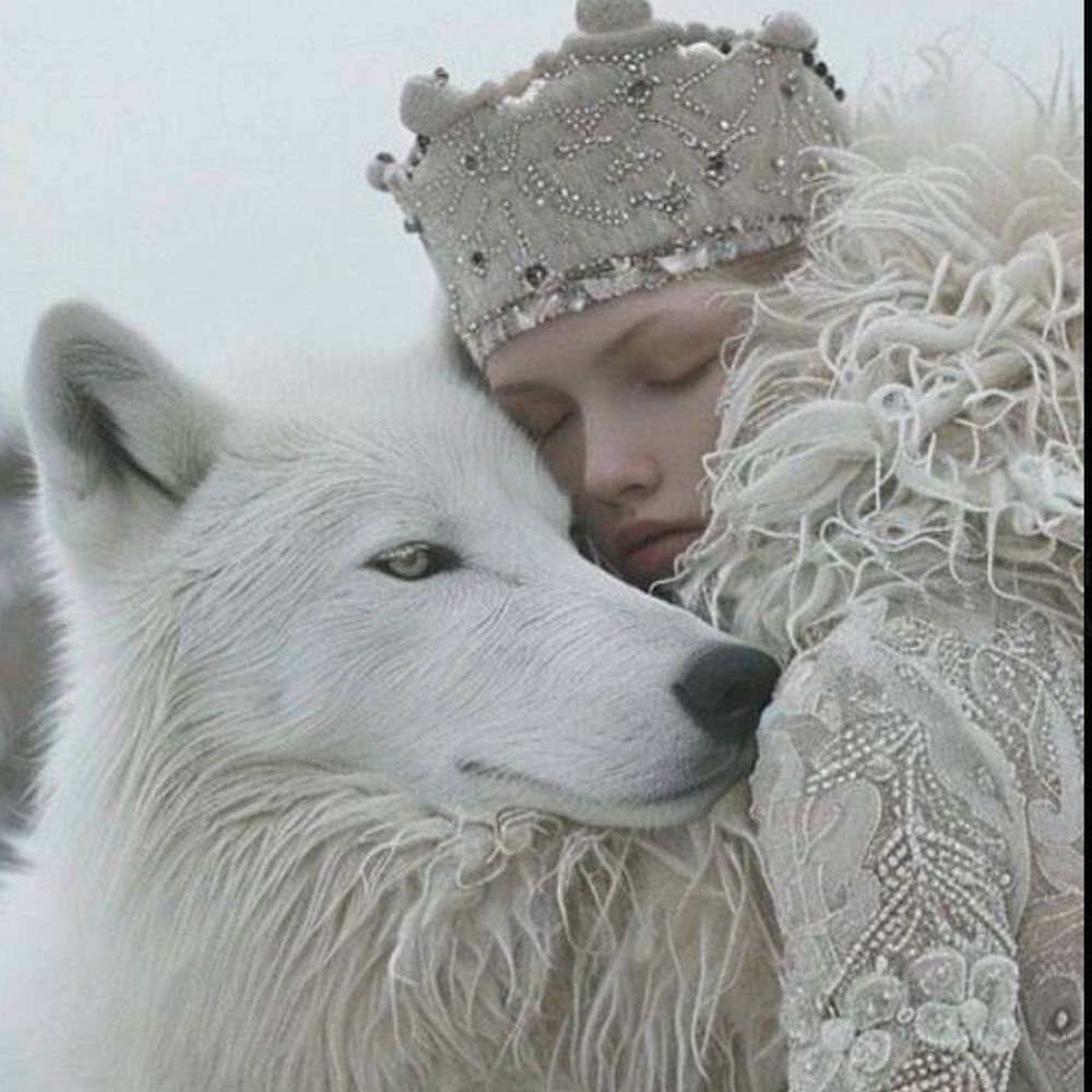aethelflaed11.bsky.social profile picture