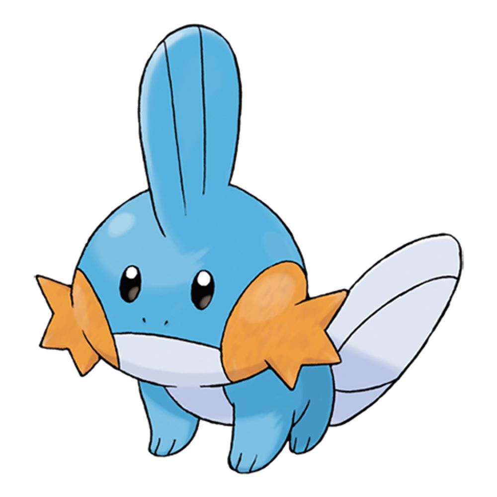 Mudkip appreciation account
