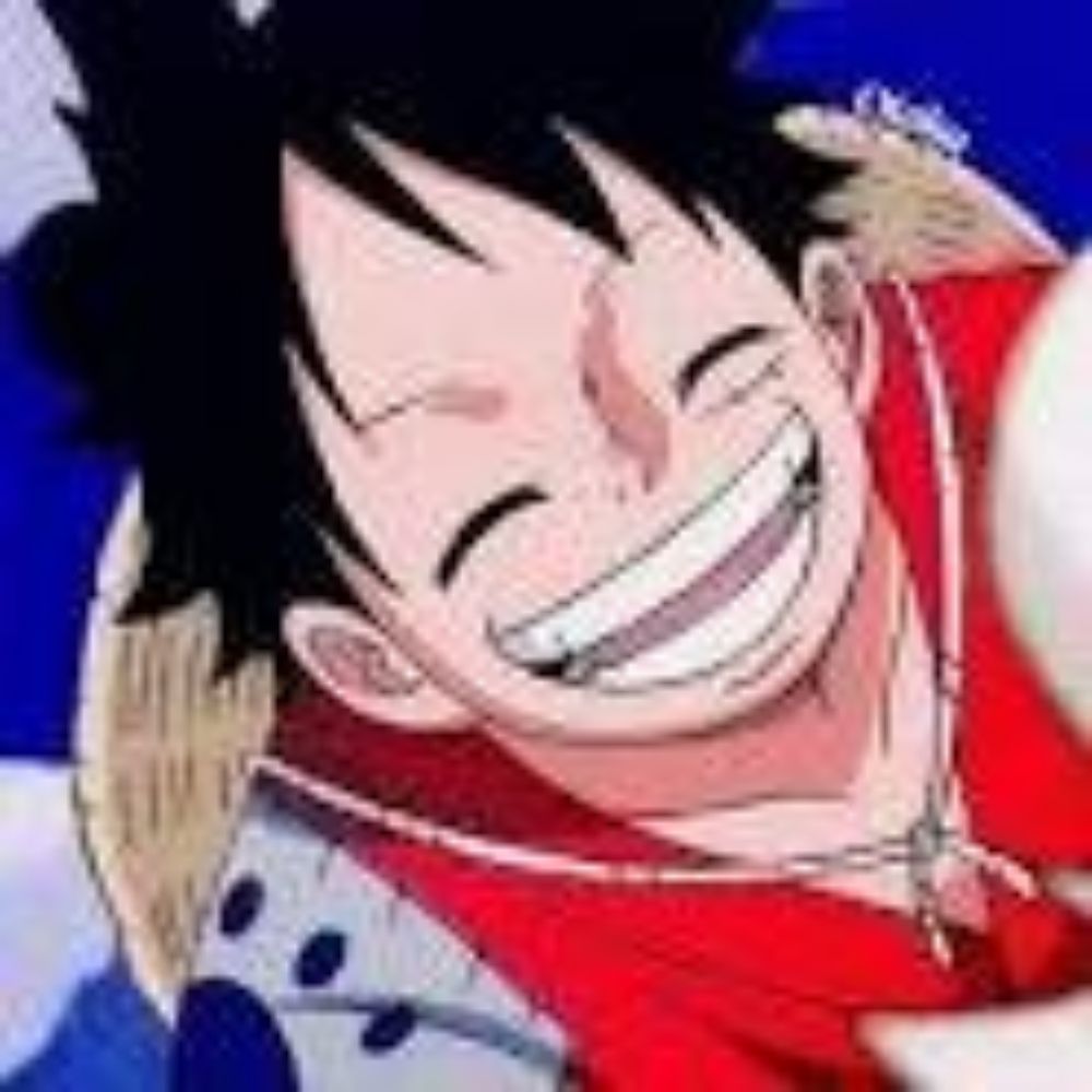 Todo Dia Um Título do Anime One Piece