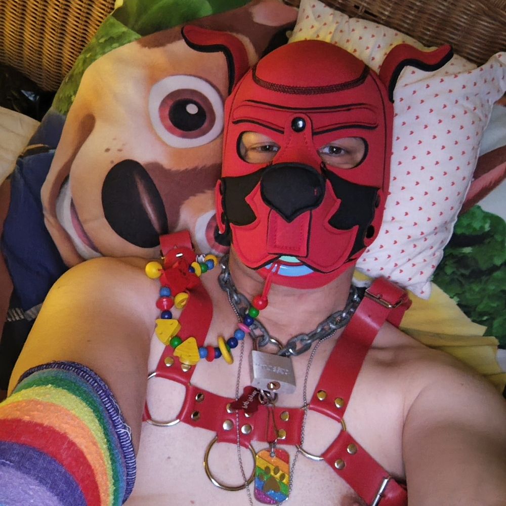 PupFeyvel