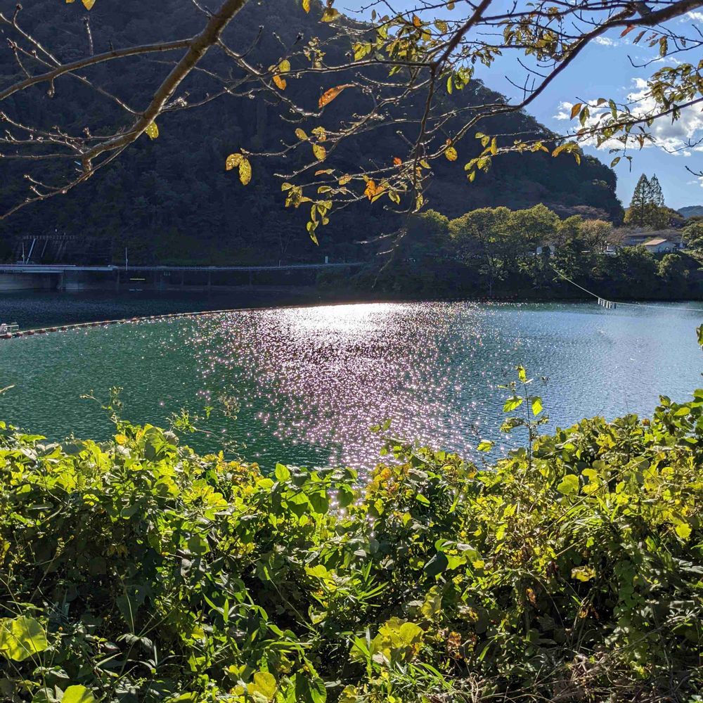 てぃーさん