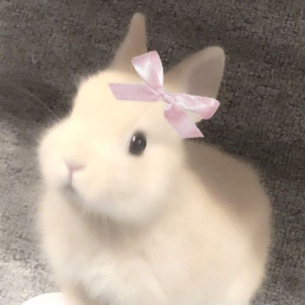 Boo