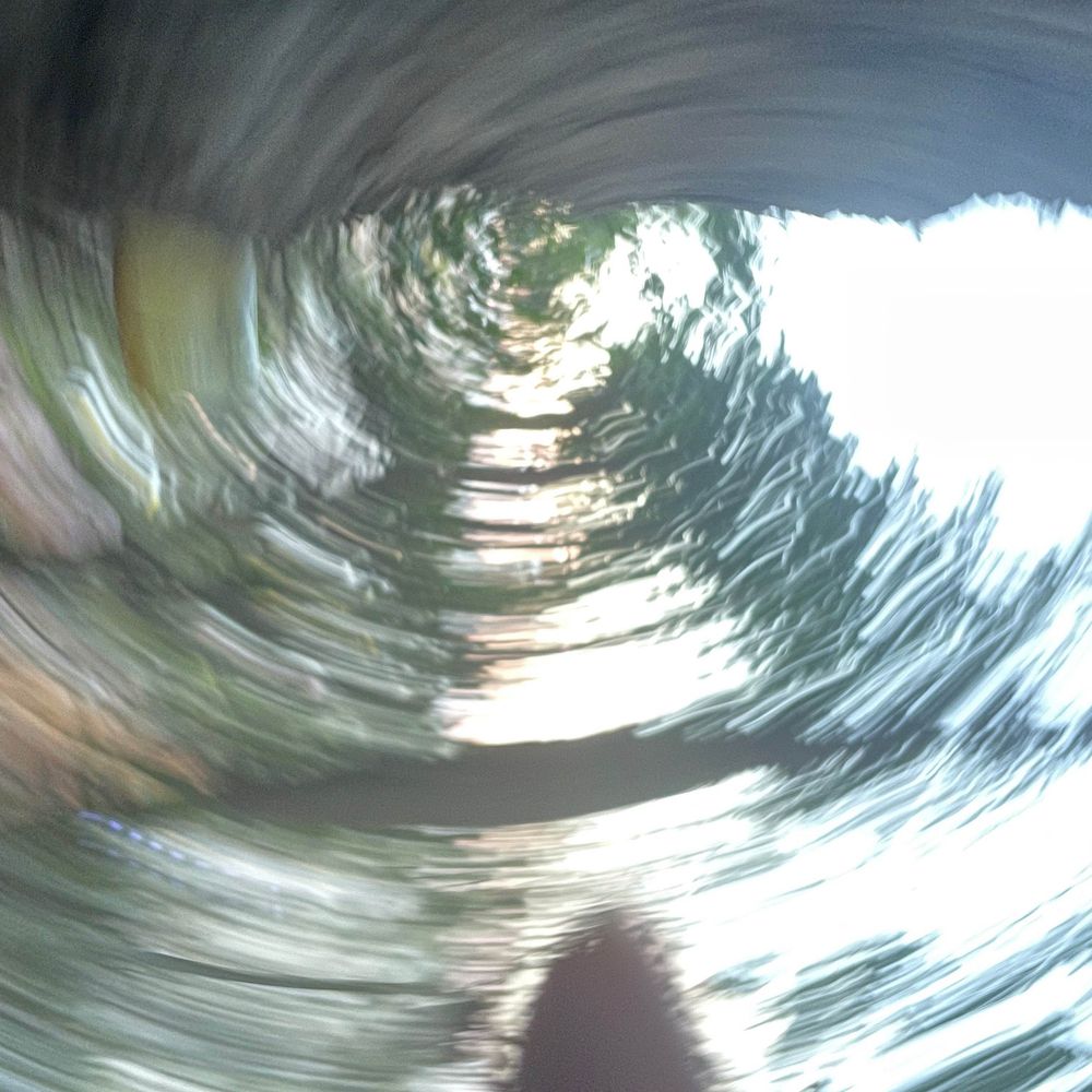 しろのわ　るい