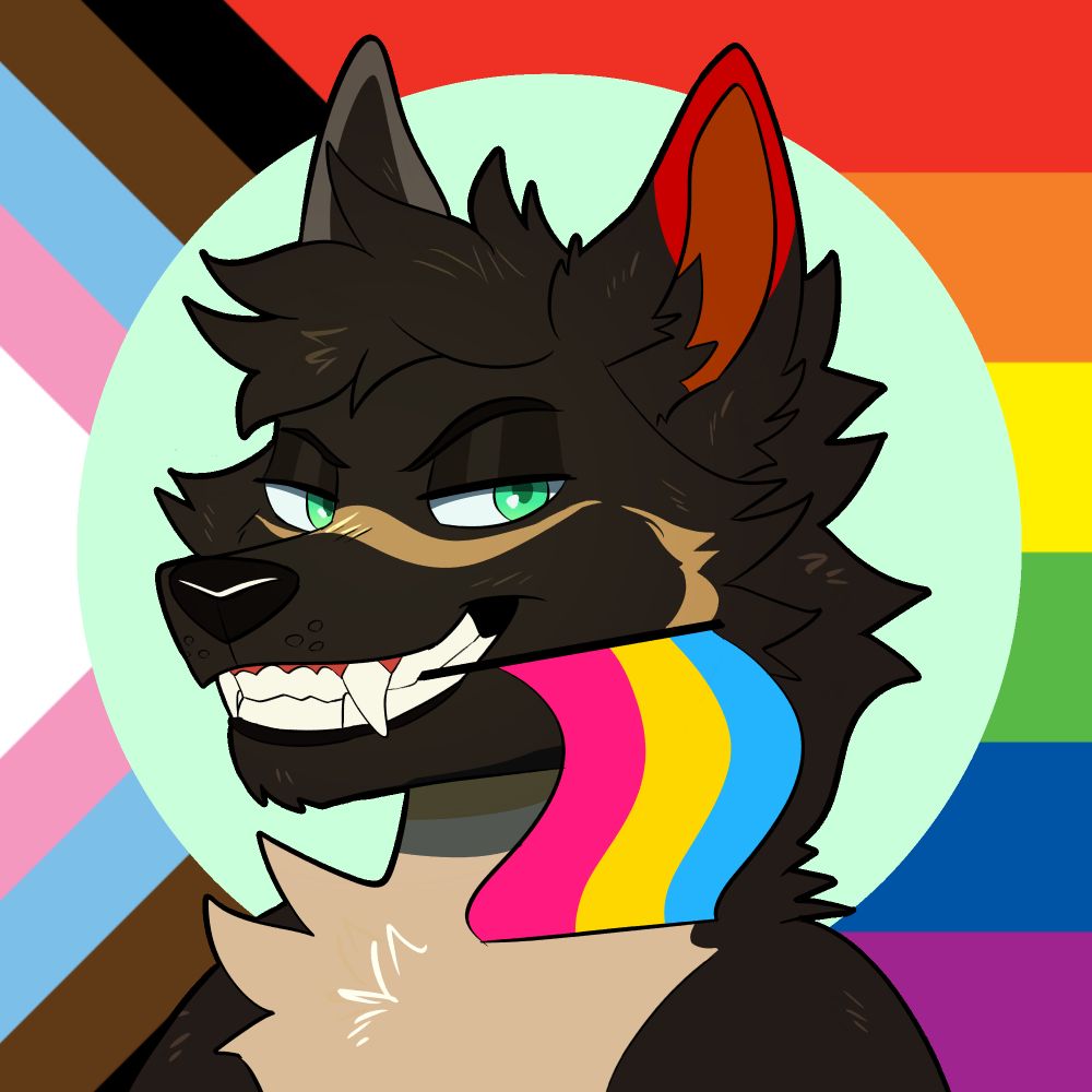 JaxTheShep