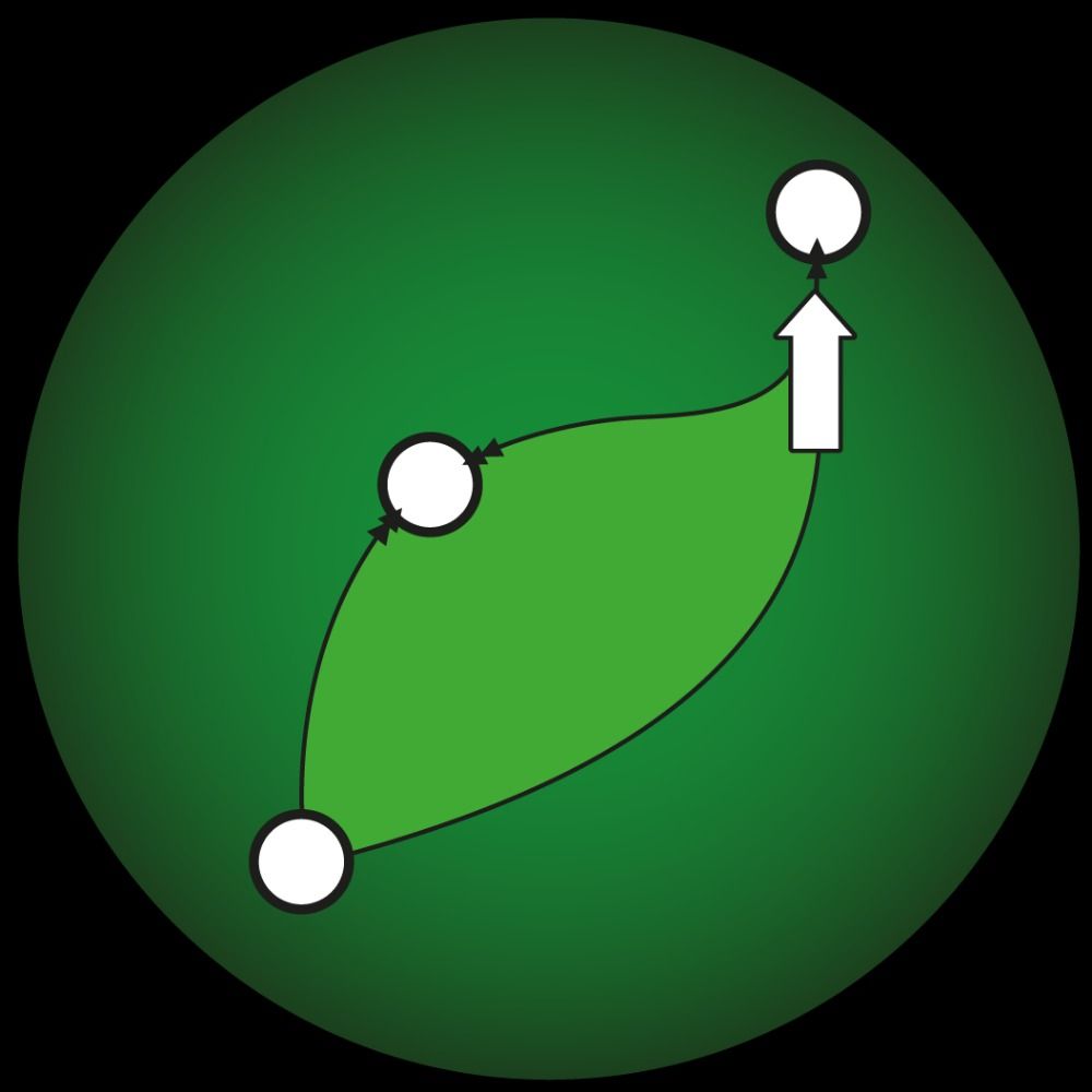 ZingoLabs