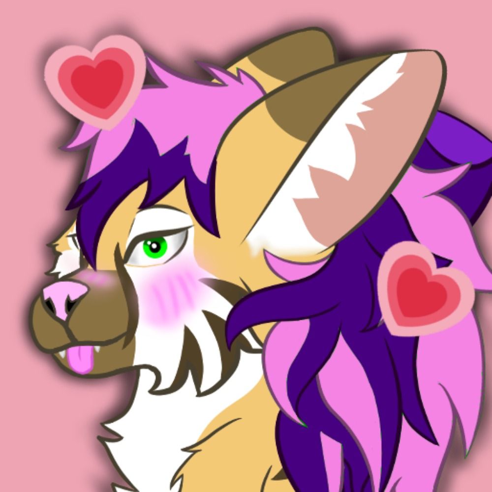 DashyTheFoxxo