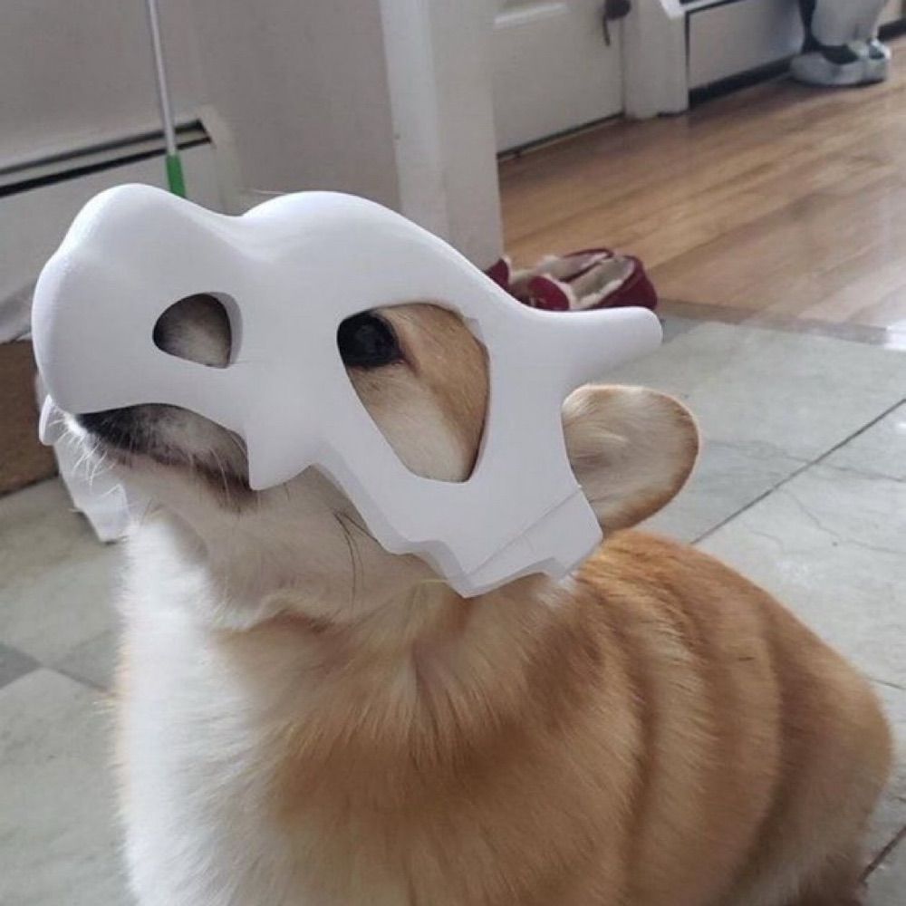SubiTemi