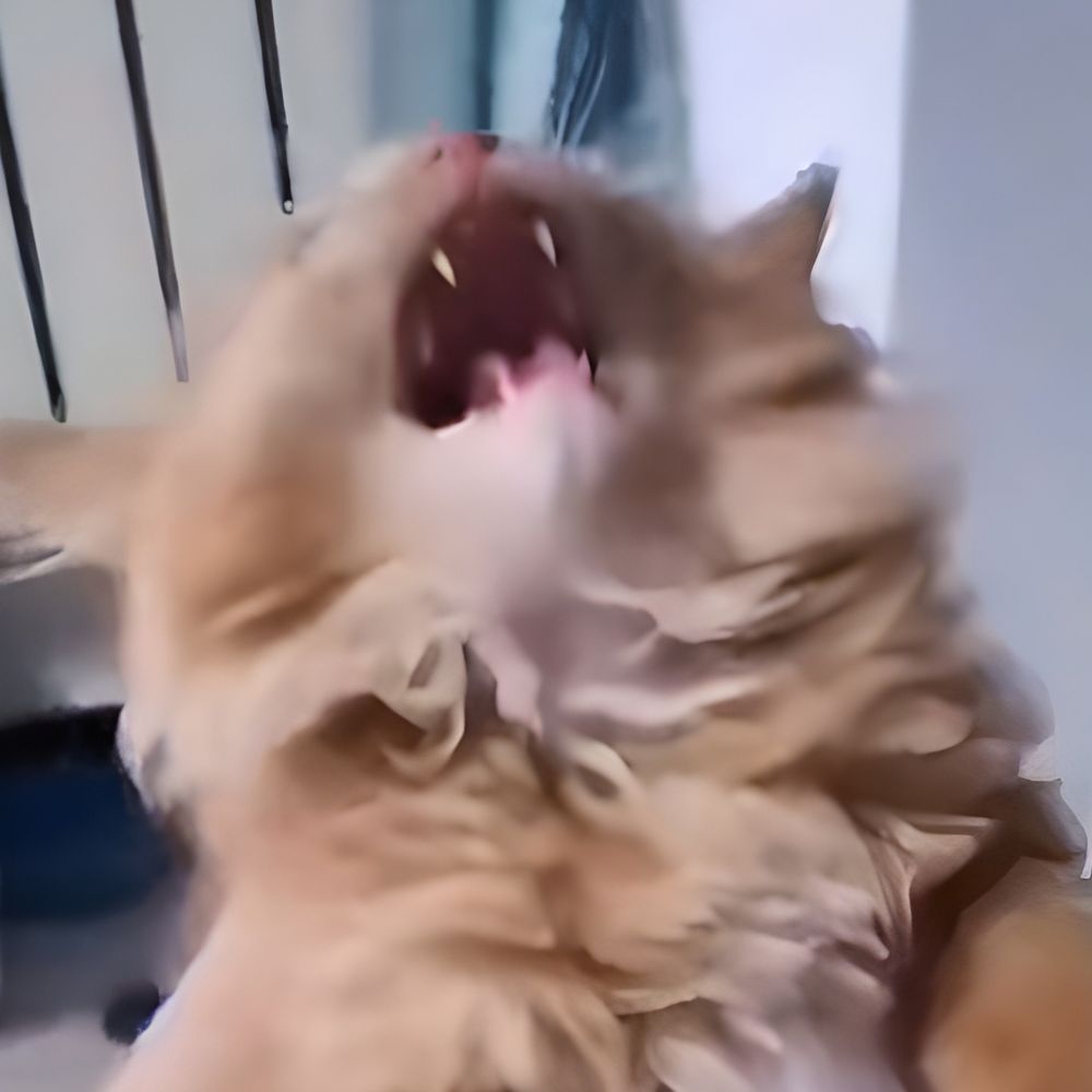 Sun'