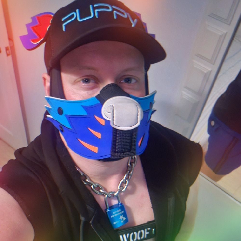 Profile picture pupsnowsnow.bsky.social