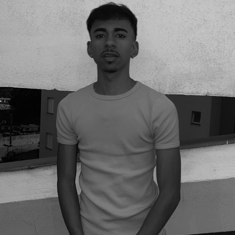 Michael Flamengo Silva