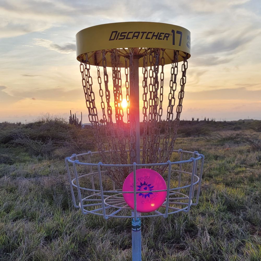 The Disc Maimer