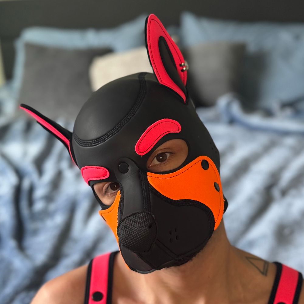 Pup Spring